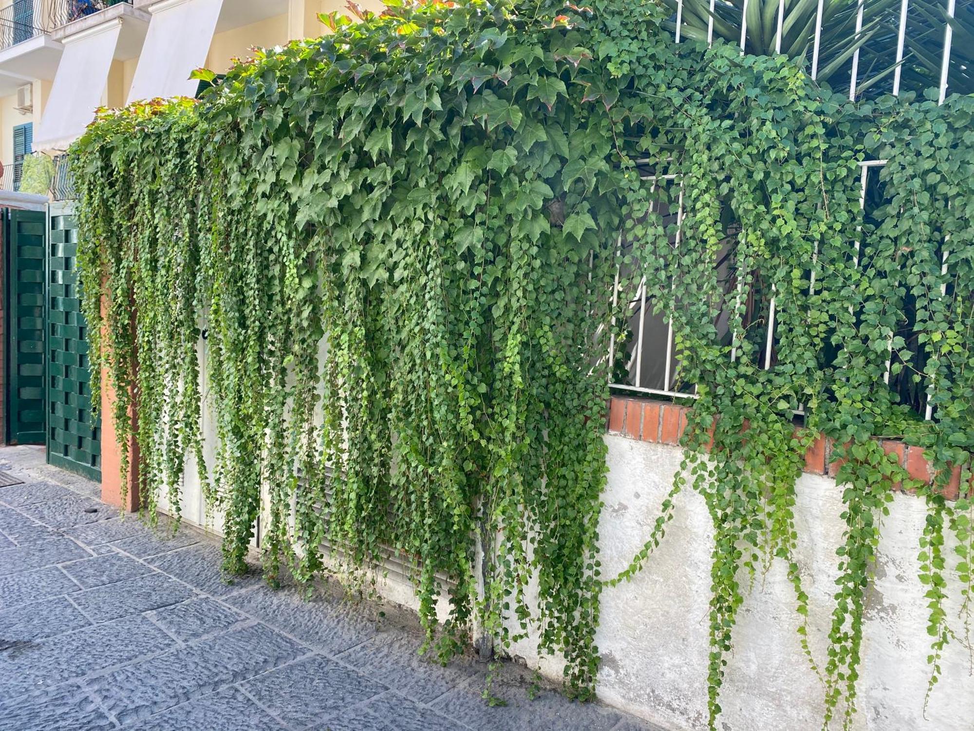 Ammore Ammare Apartment Ίσκια Εξωτερικό φωτογραφία